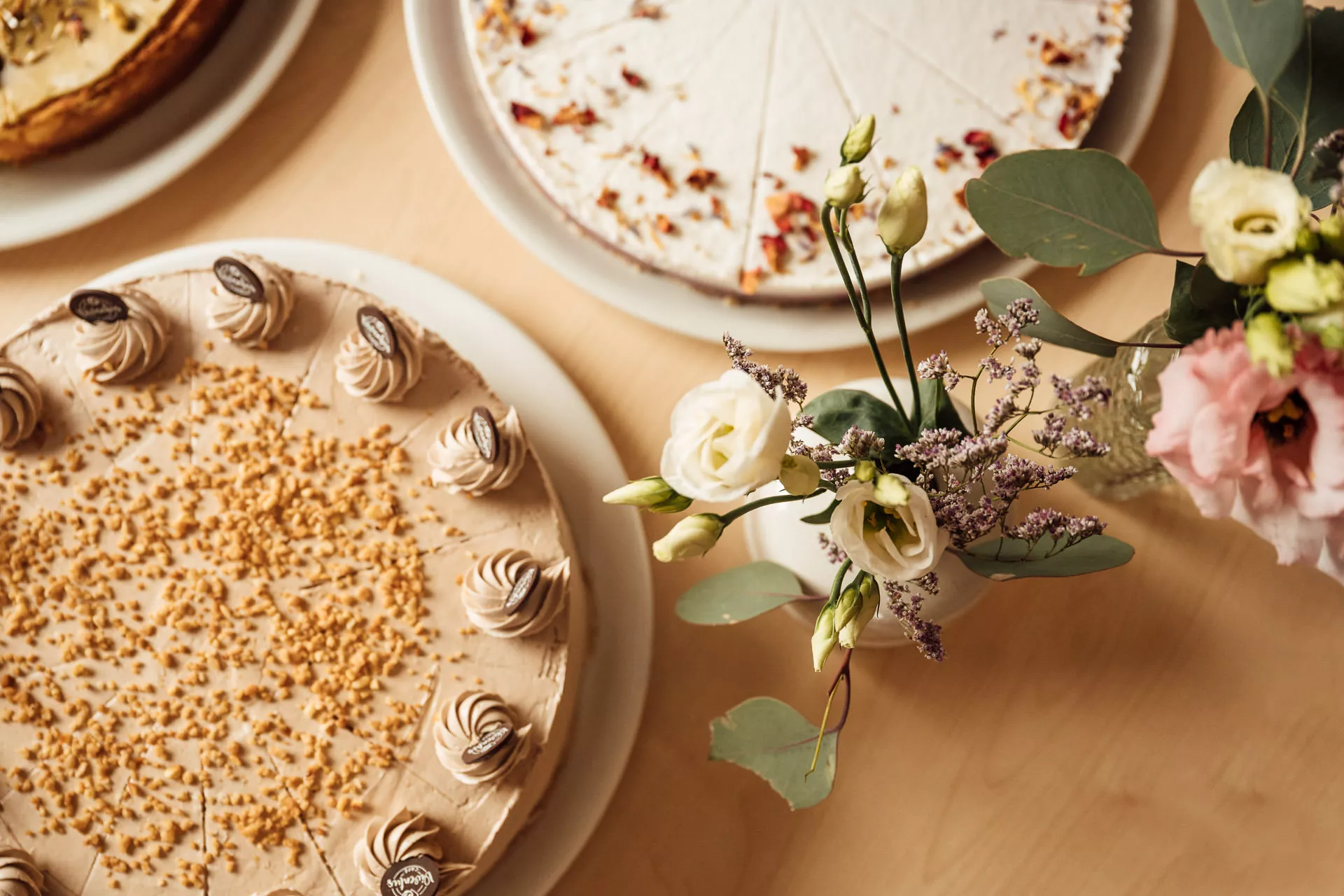 067-viventus-web